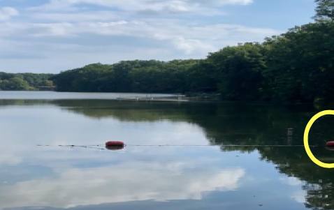 Lake Newport North · Sep 19